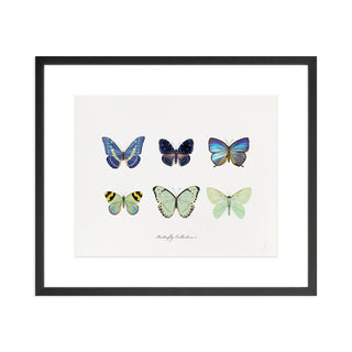 Butterfly Collection I - Art Print