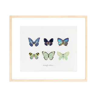Butterfly Collection I - Art Print