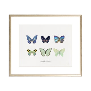 Butterfly Collection I - Art Print