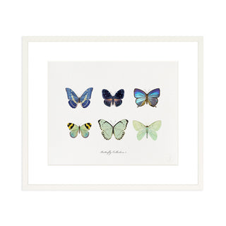 Butterfly Collection I - Art Print
