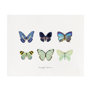 Butterfly Collection I - Art Print