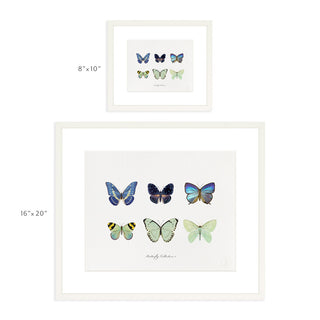 Butterfly Collection I - Art Print