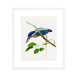 Kingfisher - Art Print