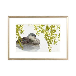 Mandarin Duck - Art Print
