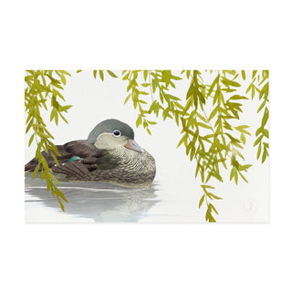 Mandarin Duck - Art Print