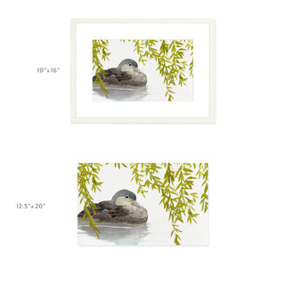 Mandarin Duck - Art Print