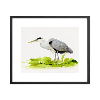 Great Blue Heron - Art Print