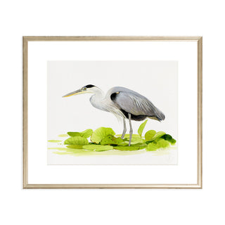 Great Blue Heron - Art Print