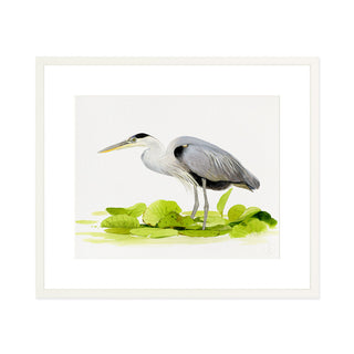Great Blue Heron - Art Print