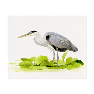 Great Blue Heron - Art Print