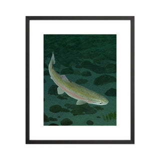 Mohonk Mountain Trout - Art Print