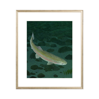 Mohonk Mountain Trout - Art Print