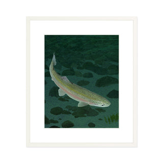 Mohonk Mountain Trout - Art Print