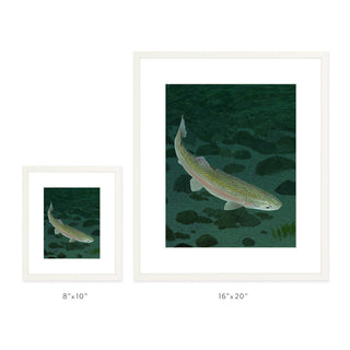 Mohonk Mountain Trout - Art Print