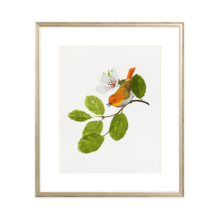 Japanese Robin - Art Print