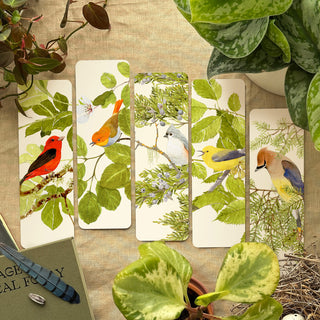 Birdsong - Bookmarks