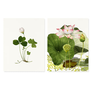 Lotus and Clover - Desk Box Couplet