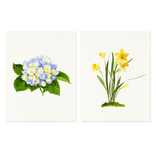 Early Bloomers - Desk Box Couplet