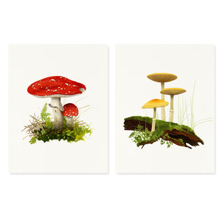 Mushroom Garden - Desk Box Couplet