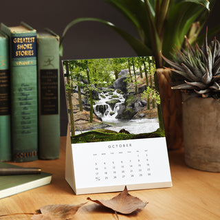 2027 Desk Calendar - Drawn to Nature