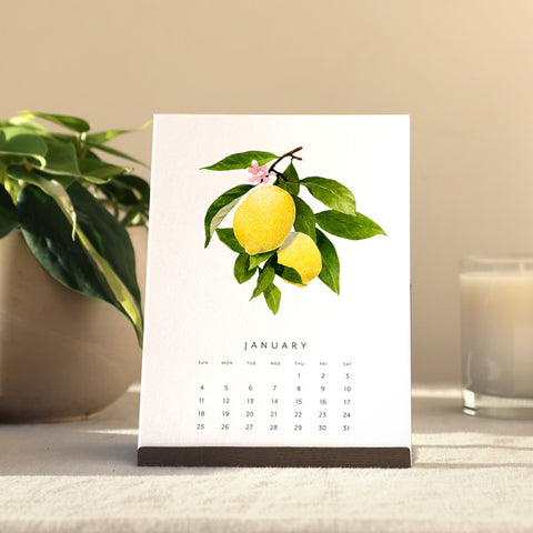 2026 Desk Calendar - Fresh Fruit