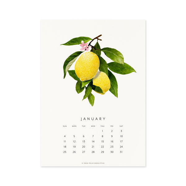 2026 Desk Calendar - Fresh Fruit