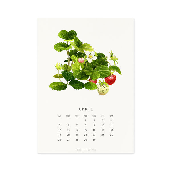 2026 Desk Calendar - Fresh Fruit