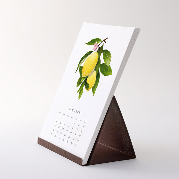 2026 Desk Calendar - Fresh Fruit