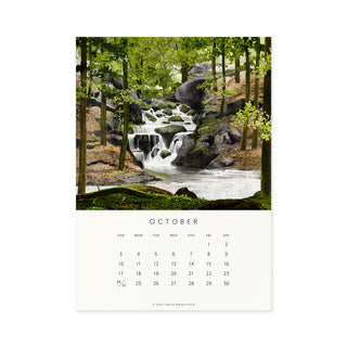 2027 Desk Calendar - Drawn to Nature