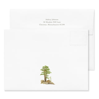 Bear - Signature Note Cards