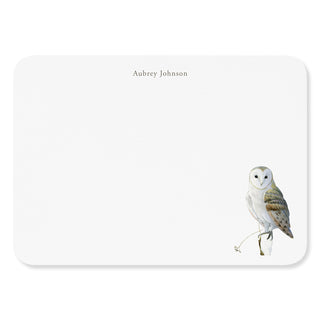 Winter Barn Owl - Signature Note Cards