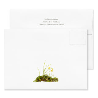 Box Turtle - Signature Note Cards