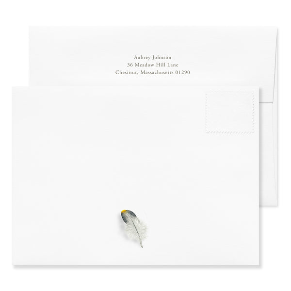 Feather Collection 2