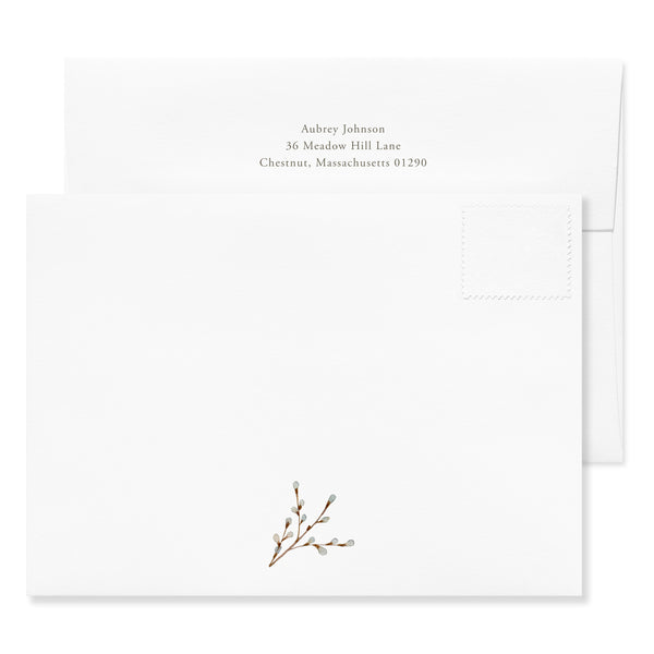 Cardinal and Evergreen