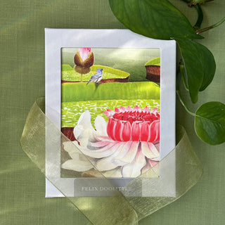 Victoria Water Lilies - Flower Garden Card