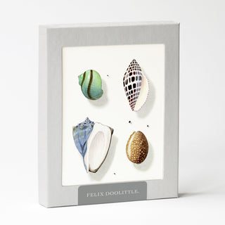 Sea Jewels - Just Because Card