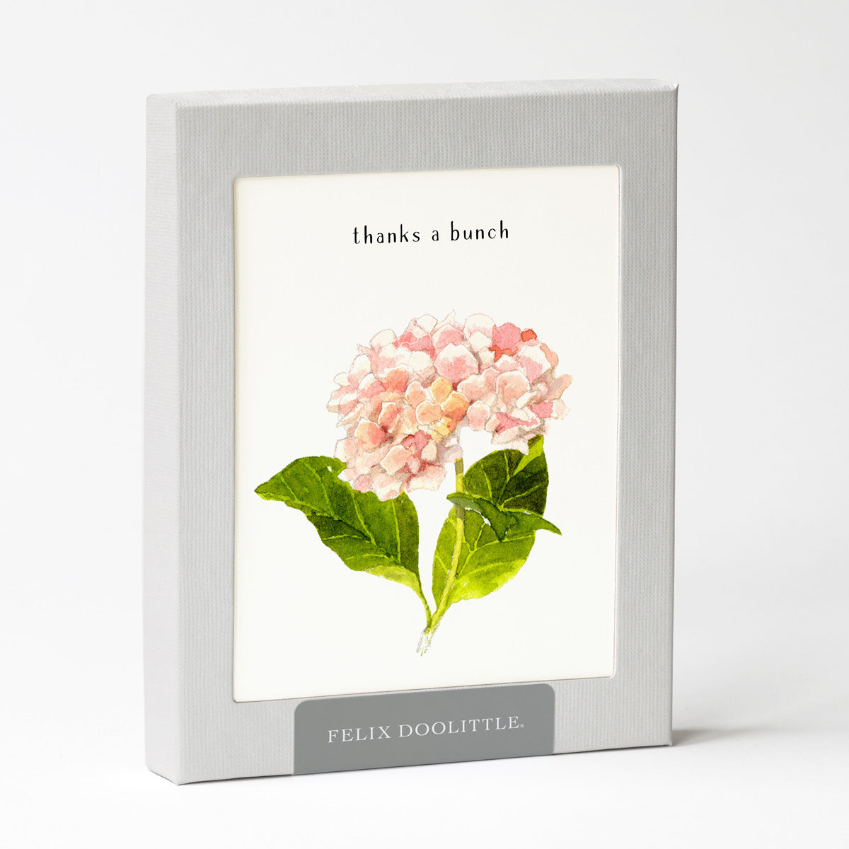 ♡hydrangea メモ♡ Pink Hydrangeas - Occasion Card by Felix Doolittle