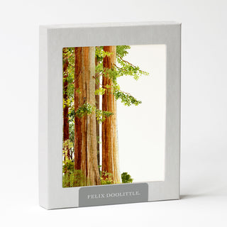 Redwoods - Just Because Card