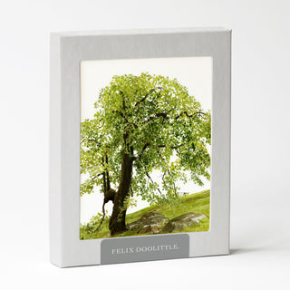 Oak Hill - Just Because Card