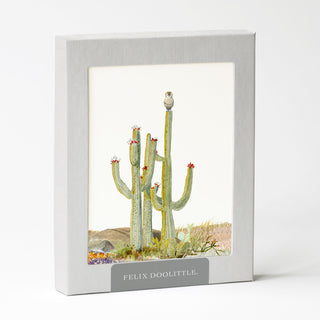 Desert Perch - Just Because Card
