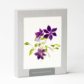 Clematis Vine - Flower Garden Card