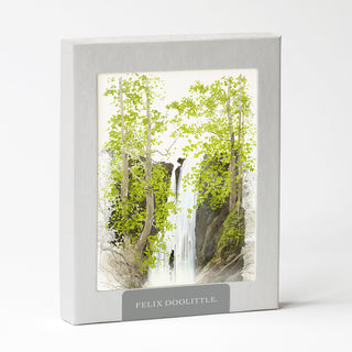 Falls - Just Because Card