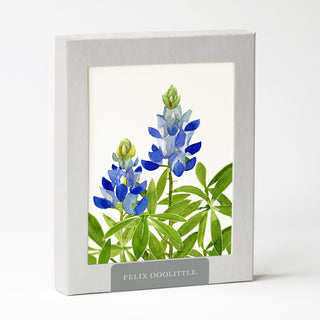Bluebonnet - Flower Garden Card