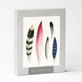 Feather Collection - Just Because Card