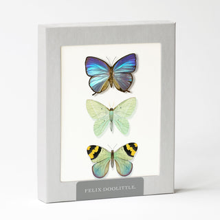 Butterfly Trio - Just Because Card