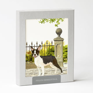 Boston Terrier - Dog Card
