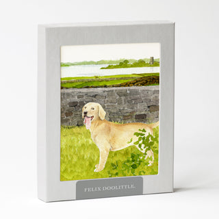 Golden Retriever - Dog Card