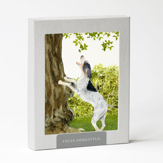 Coonhound - Dog Card
