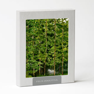 Magical Forest - Just Because Card