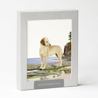 Yellow Lab - Dog Card